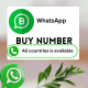 whatsapp number